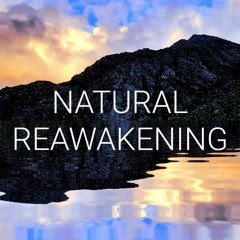 Wall Of Noises (Intro) + Natural Reawakening (alternate edit)