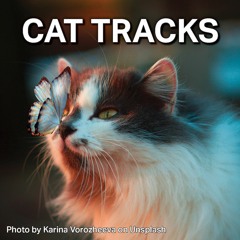CAT TRACKS