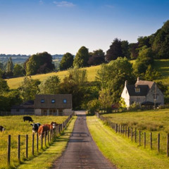 Simple Grace, Country Heart