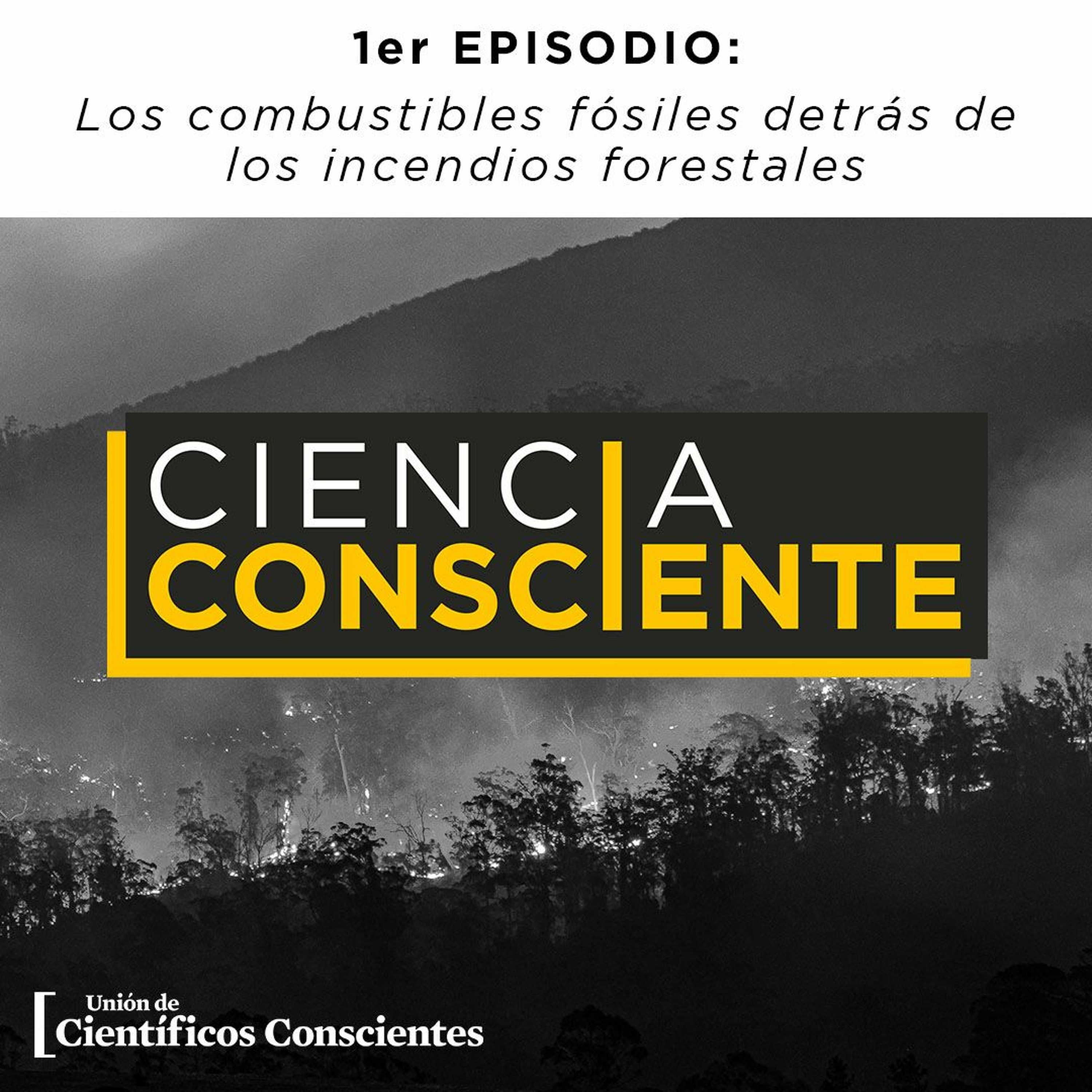 Ciencia Consciente