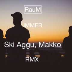 Ski Aggu, Makko - IMMER (RauM Edit)