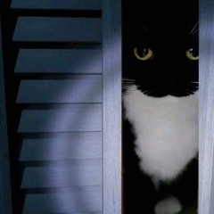 _Oh Qué Será_ Doomshop type beat(MP3_160K).mp3