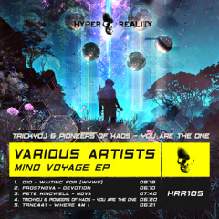 TrickyDJ & Pioneers of Kaos - You Are The One (Original Mix)