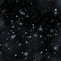 NLS - 2023 - 12 - 04 Snowflakes