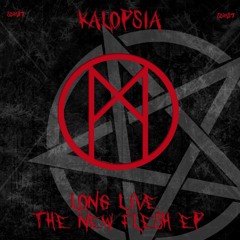 [PREMIERE] Kalopsia - No One Would Believe [Still Distant Records]