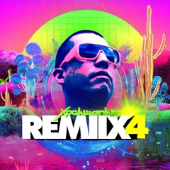Xookwankii Remiix Vol.4