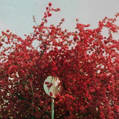 Sto Nii - Autumn Nights