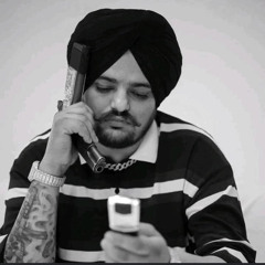 Levels Sidhu moosewala