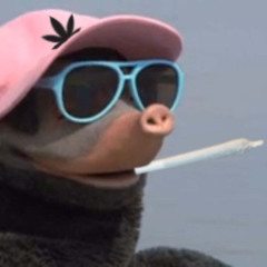 moffel_riddim_2