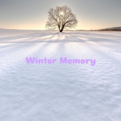 Winter Memory