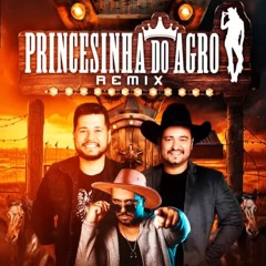 PRINCESINHA DO AGRO - Sergio filho e fernando  [ Remix Dj Junior Santtos ]
