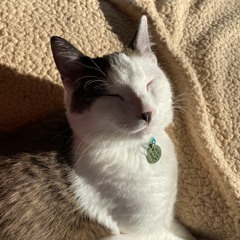 My personal eras tour