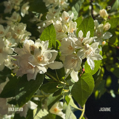 Jasmine – Vika David