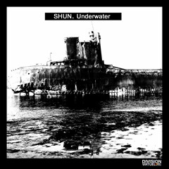 TL PREMIERE : Shun - Crosby [Division Virtuel Records]