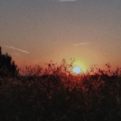 shapeshift (prod. dercept x ayoley)