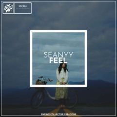 Seanyy - Feel [SCC009]