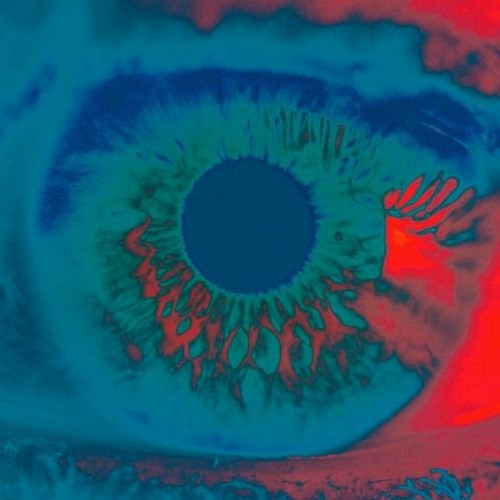 Chromatics - Shadow (Maceo Plex Remix)
