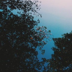 anxiety relief / sleep