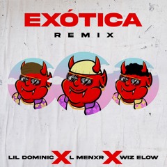 Exótica (Remix)