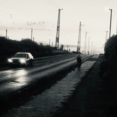 NACHTVOGEL