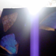 antonym (prod. chris lunn) #nitecore #starsaway