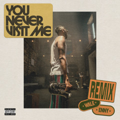 You Never Visit Me (Remix) [feat. Wale]