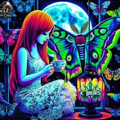 Set Especial Mariposa.mp3