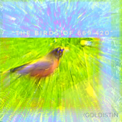 “the birds of 669 420” prod.(gold)stin