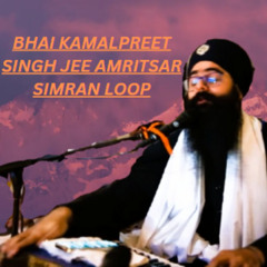 Bhai Kamalpreet Singh Jee Amritsar simran loop