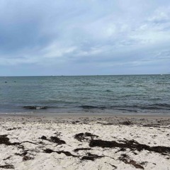 mein son (prod. kkoreaxo + domslaps)