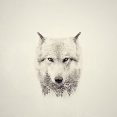 EPIC HIP HOP  ''Face In The Dark'' by City Wolf (ft. Panther).mp3