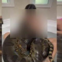 ORIGINAL 18++ ONE GIRL 50 SNAKE VIDEO ONE GIRL 50 SNAKE FULL