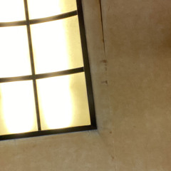 春の電話