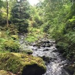 Rolling River - Tembre