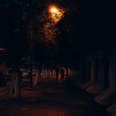 Shadows of Goodbye