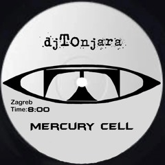 Mercury cell