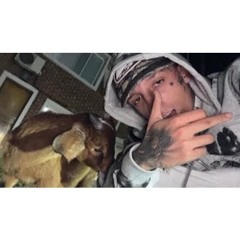 Salastkbron - No te hagas