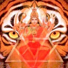 Aparajita Stotram - 1.29.20