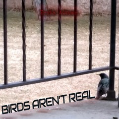 Birds Aren't Real