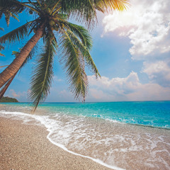 קטטות המוניות, סקס וסמים במקומות ציבוריים ומאבק נדל"ן שגורר אליו גם עבריינים: הישראלים בתאילנד הפכו למטרד