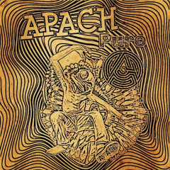 APACH - Asteriscusgraveolens