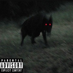 DOG POUND