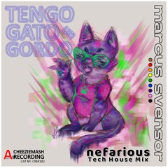 Tengo Un Gato Gordo [Nefarious Tech House Mix]