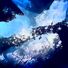 Twisted DV - Temptation