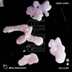 Zhe Pechorin 16/11/24