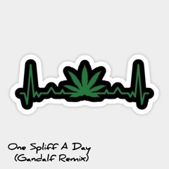One spliff a day (Gandalf Remix).wav