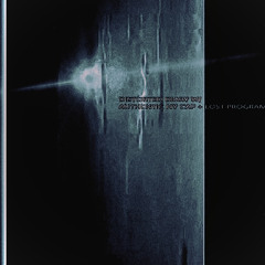 distorted diary w/ authentic ny cap