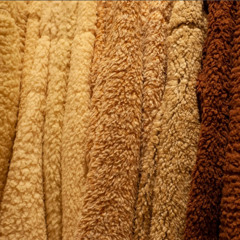 Guide to Buying Carpets in Australia