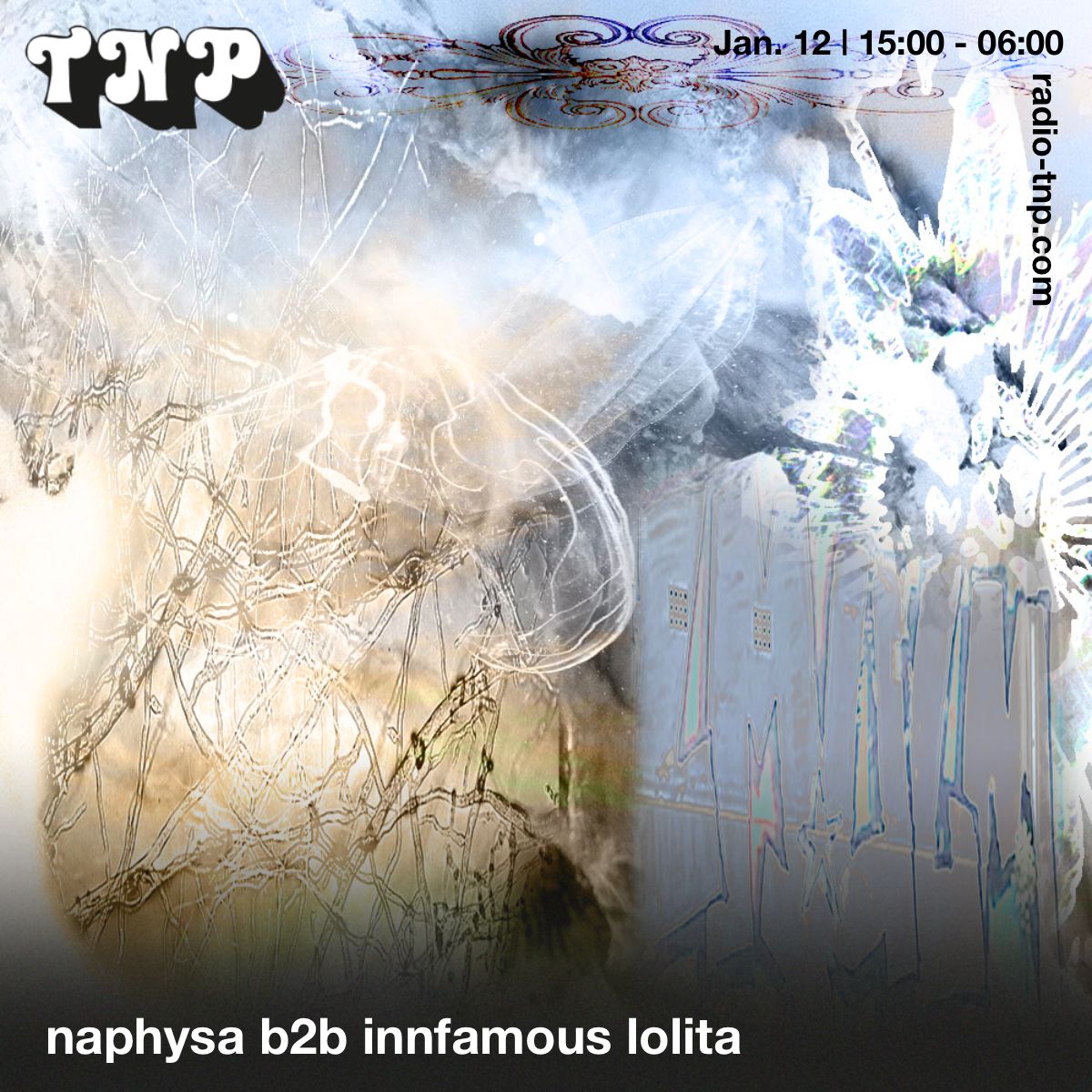 naphyssa b2b innfamous lolita