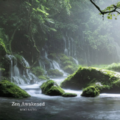 Zen Awakened - Preview